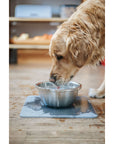 Hydro Hold dish/pet water